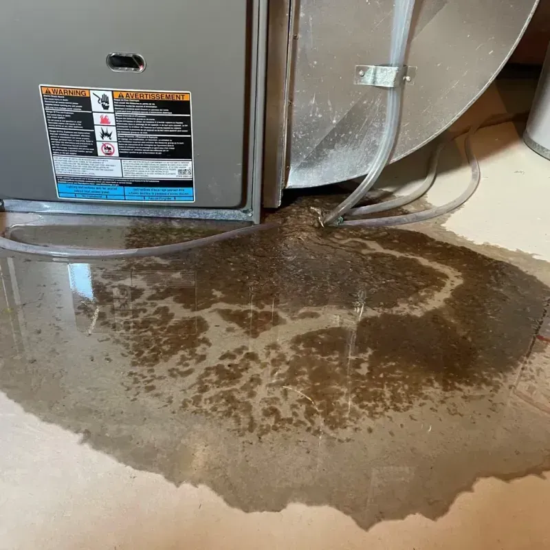 Appliance Leak Cleanup in Balch Springs, TX